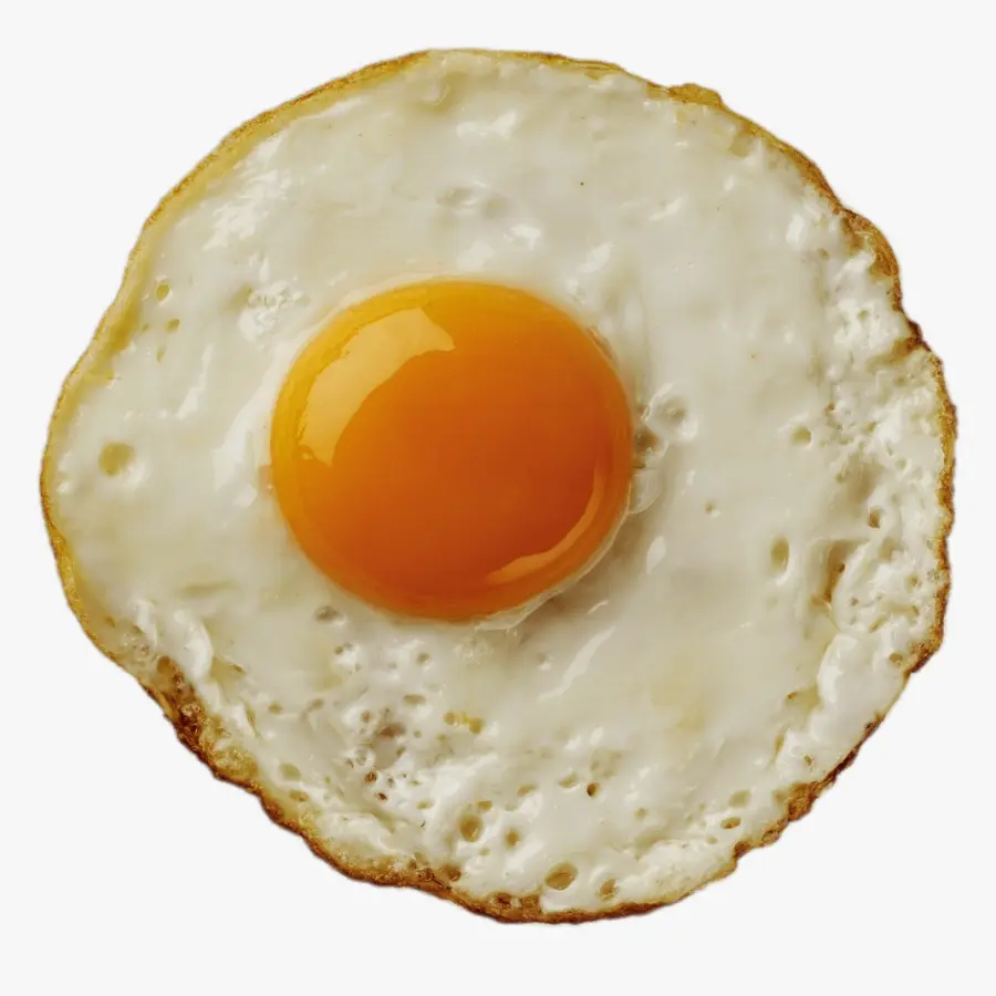 Яйцо 