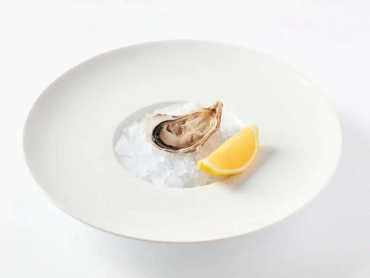 Розовая Джоли устрица (1 шт.)