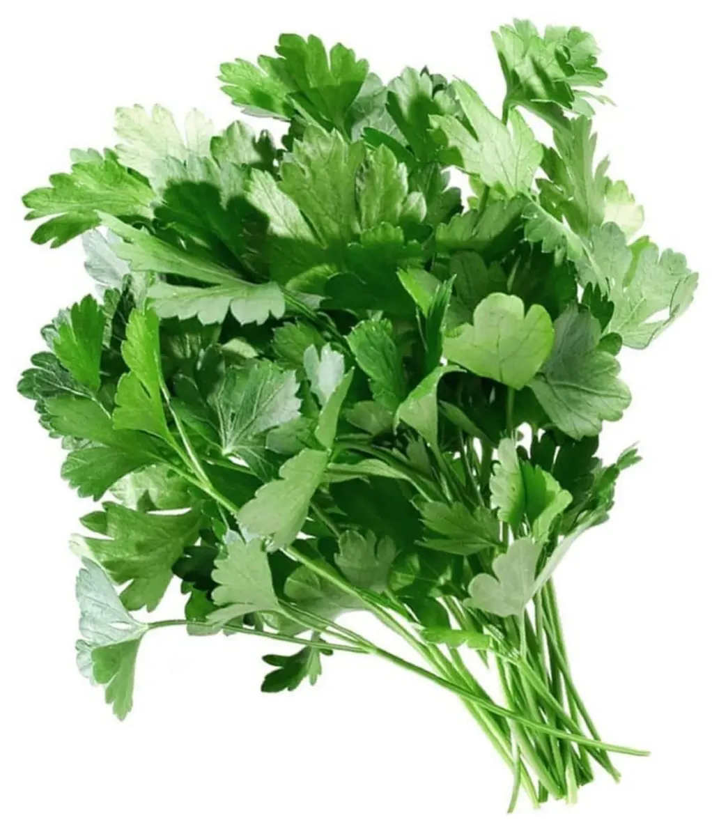 Кинза(м)