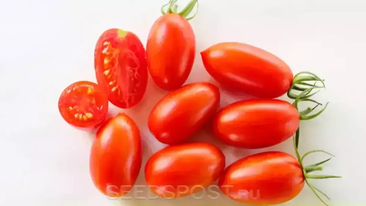 Помидоры Королевские(м)