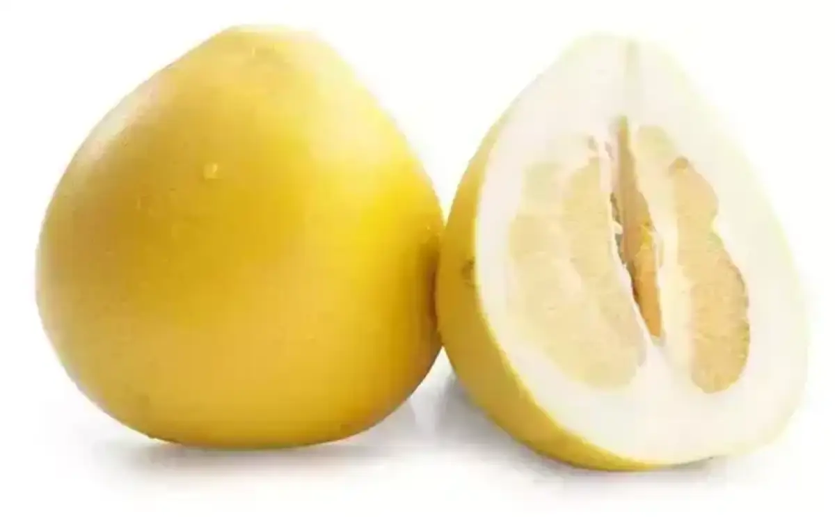 Помело (м)