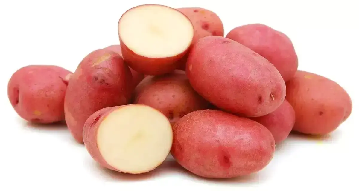 Картофель Красный(м)