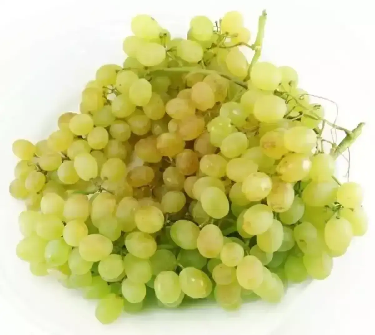 Виноград КишМиш(м)