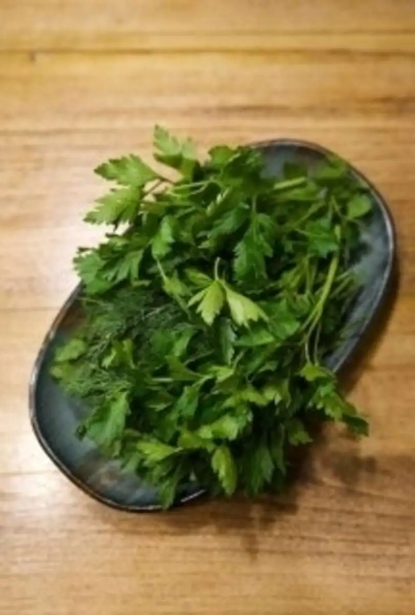 Зеленая грядка
