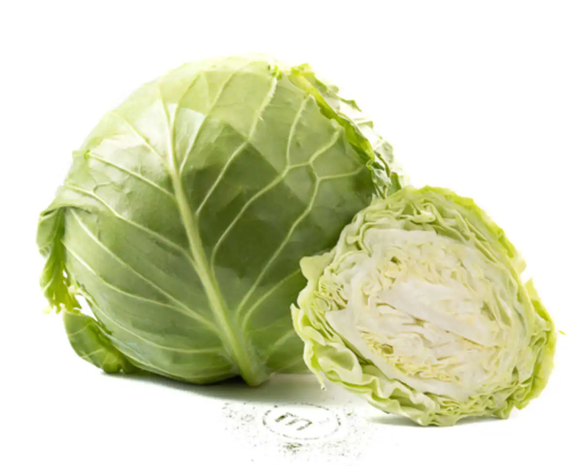 Капуста(м)