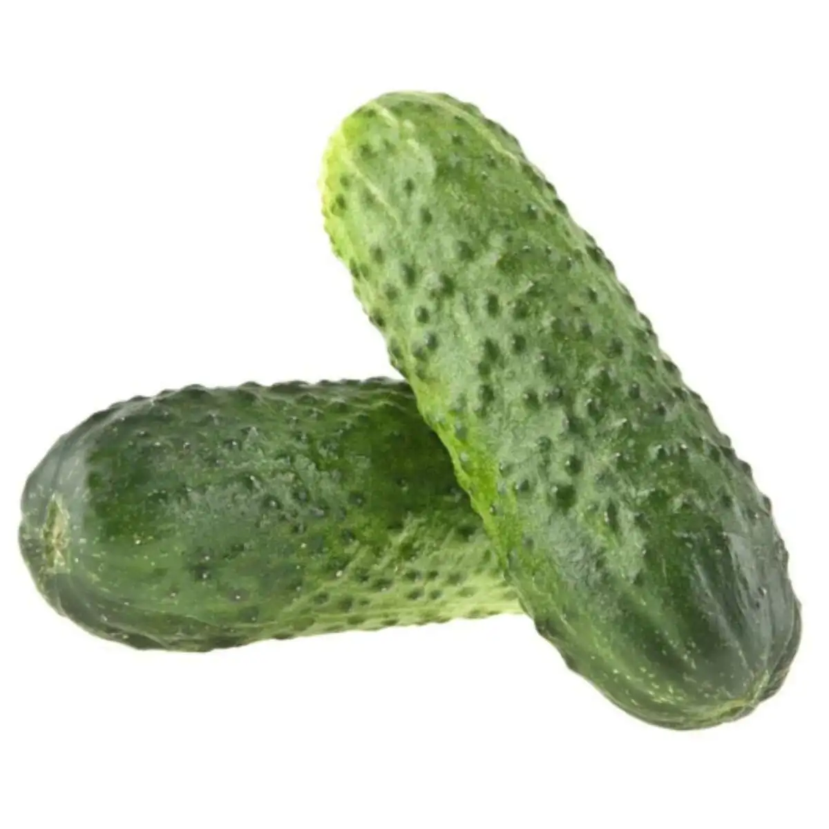 Огурцы(м)