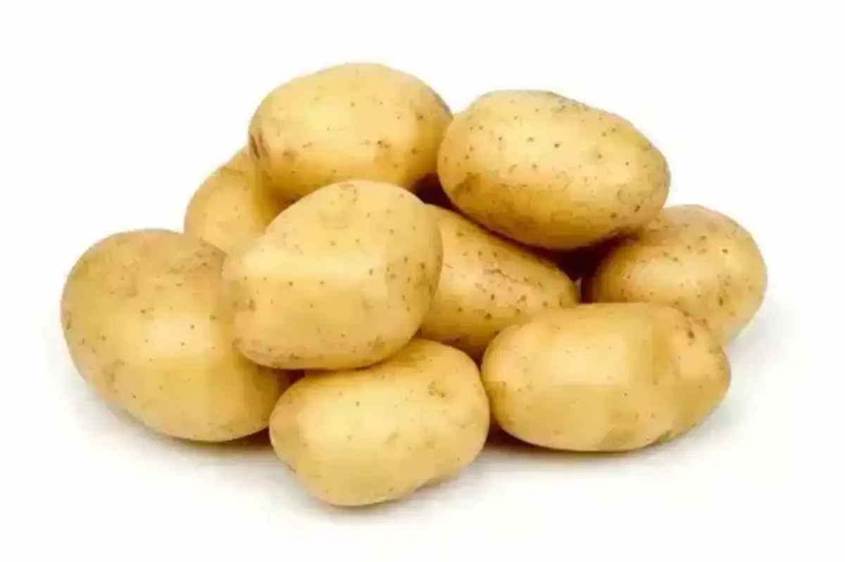 Картофель(м)