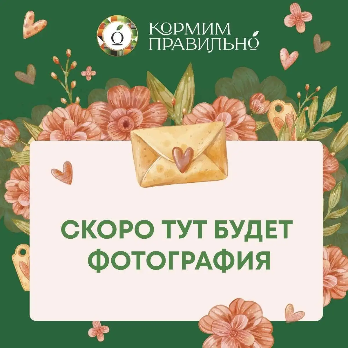 Биточки из курицы с овощами 400г