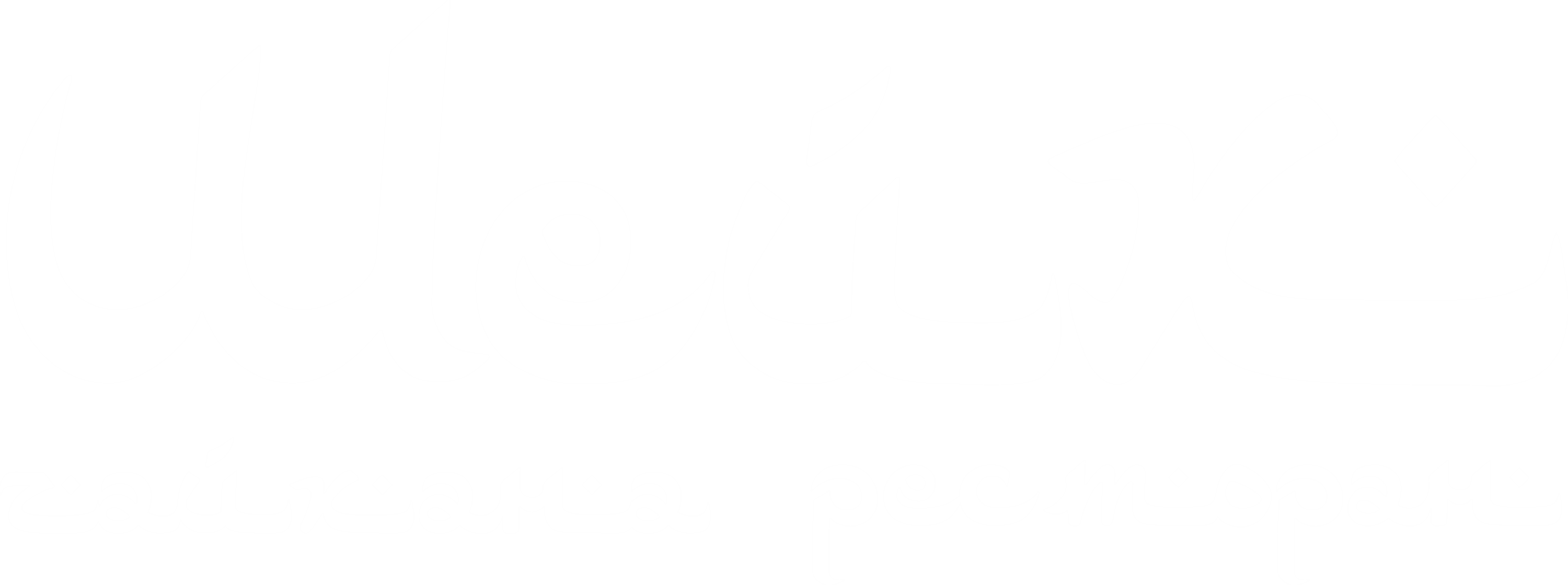 Шейх